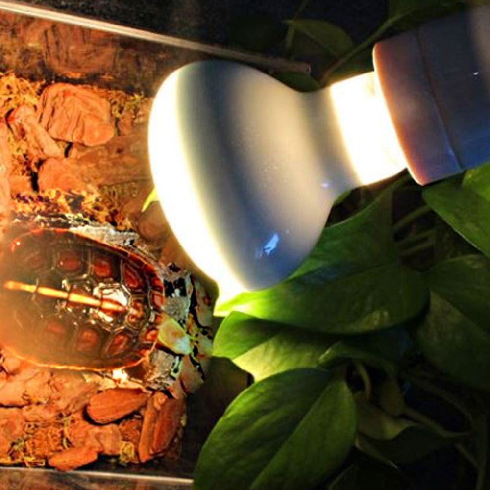 Lizard Heater Temperature Cont - Basking Bulb Halogen ulasan dan harga