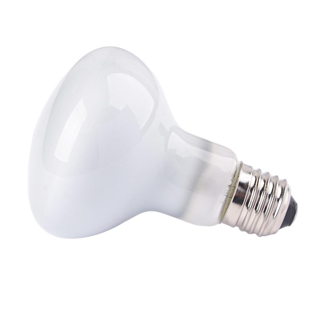 Amphibians Heater Heat Lamp UV - Basking Bulb Halogen ulasan dan harga