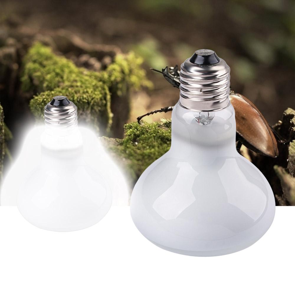 Amphibians Heater Heat Lamp UV - Basking Bulb Halogen ulasan dan harga